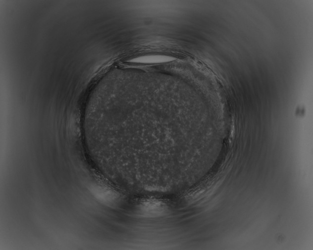 X0000089750547200707121344