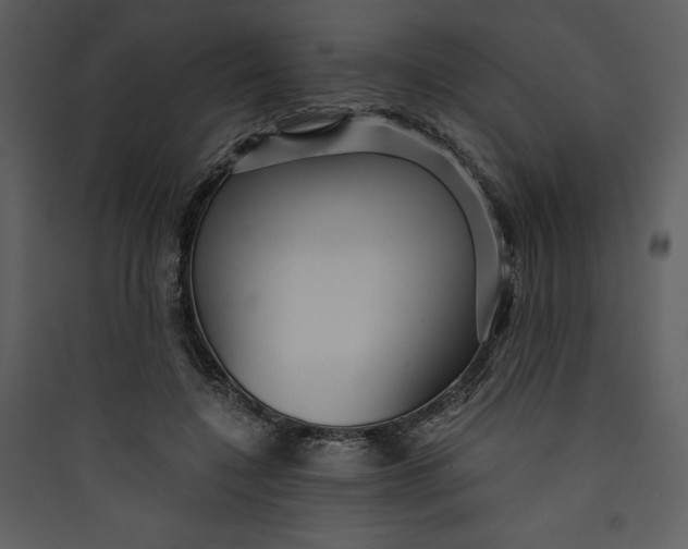 X0000089750548200707121344