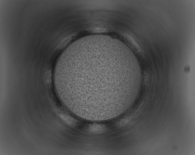 X0000089750549200707121344