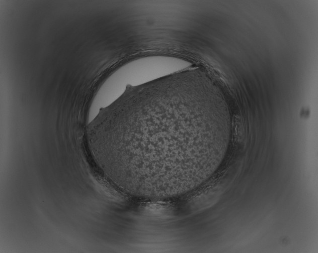 X0000089750550200707121344