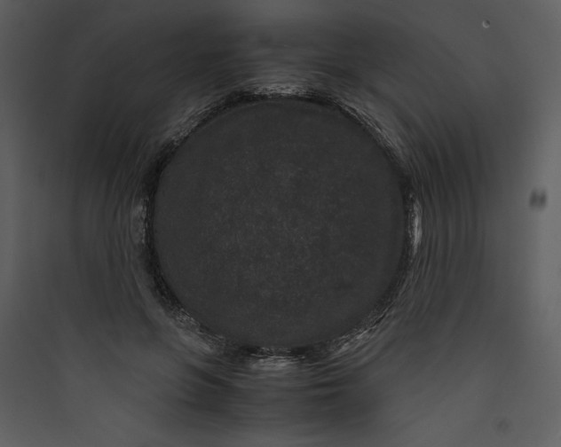 X0000089750551200707121344