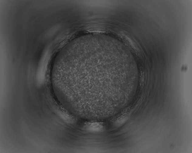 X0000089750553200707121344