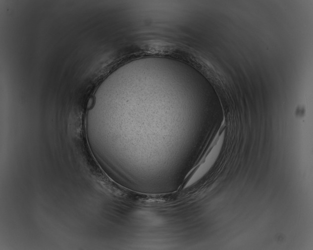 X0000089750554200707121344