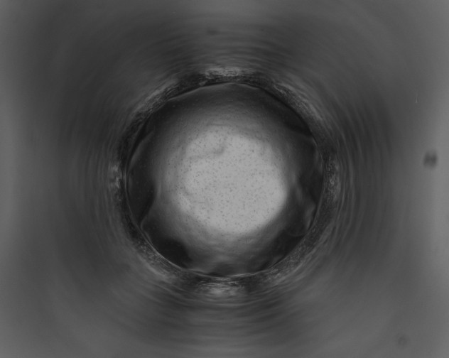 X0000089750555200707121344