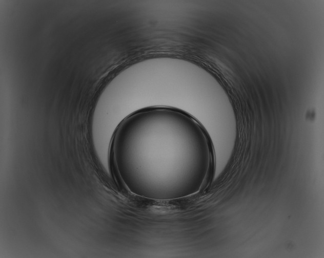 X0000089750556200707121344