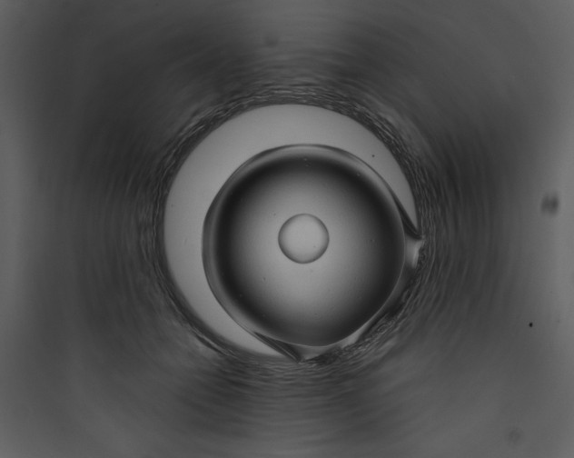 X0000089750558200707121344