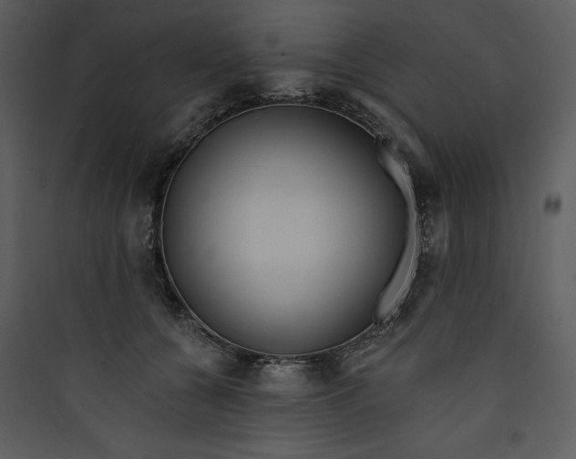 X0000089750560200707121344