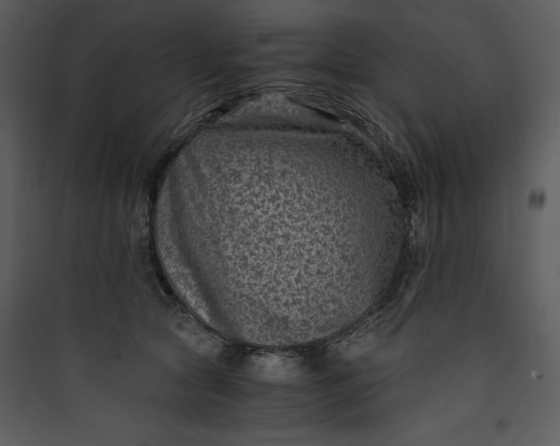 X0000089750561200707121344