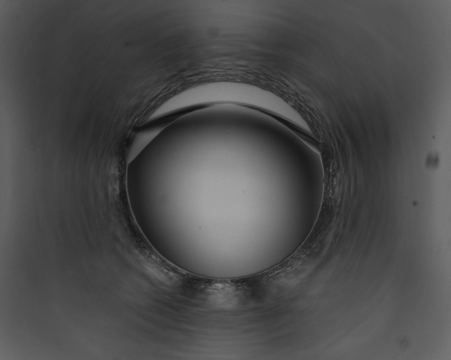 X0000089750562200707121344