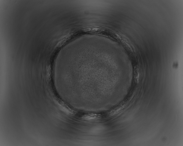 X0000089750563200707121344