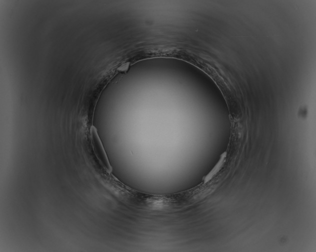 X0000089750564200707121344