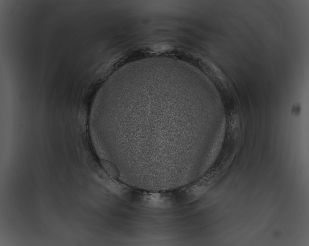 X0000089750565200707121344