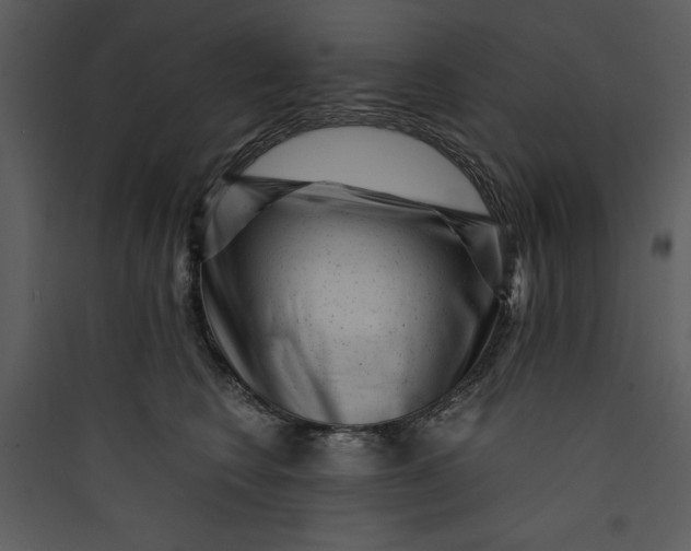 X0000089750566200707121344