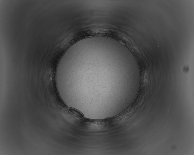 X0000089750567200707121344