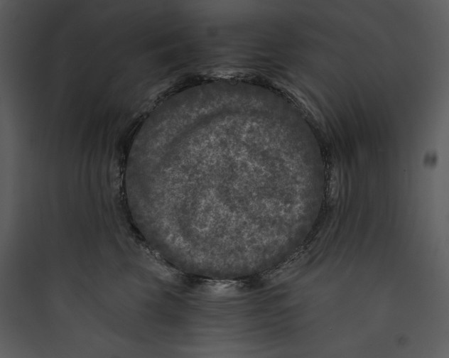 X0000089750569200707121344