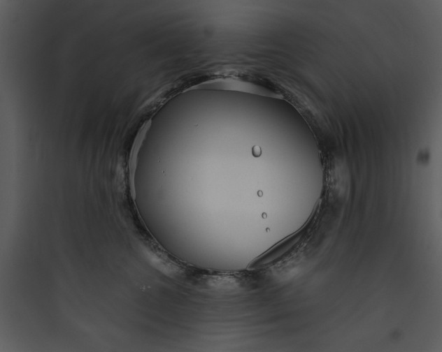 X0000089750572200707121344