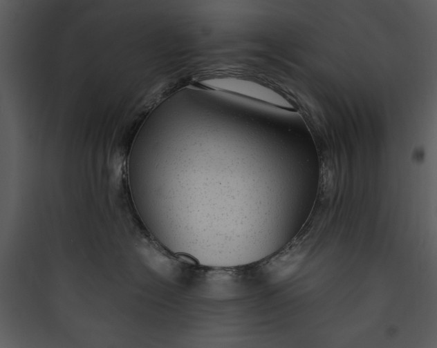 X0000089750574200707121344