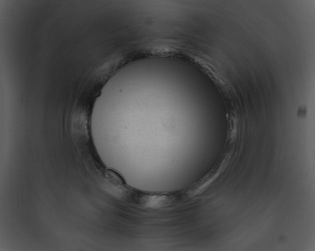 X0000089750575200707121344