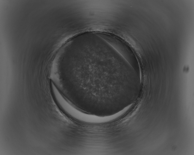 X0000089750577200707121343