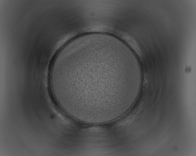 X0000089750578200707121343