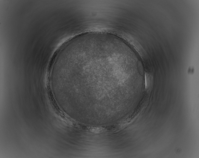 X0000089750579200707121343