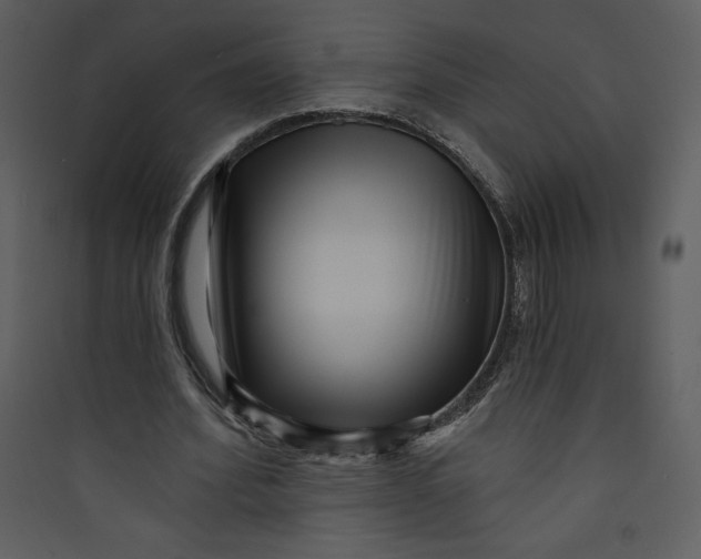 X0000089750580200707121343