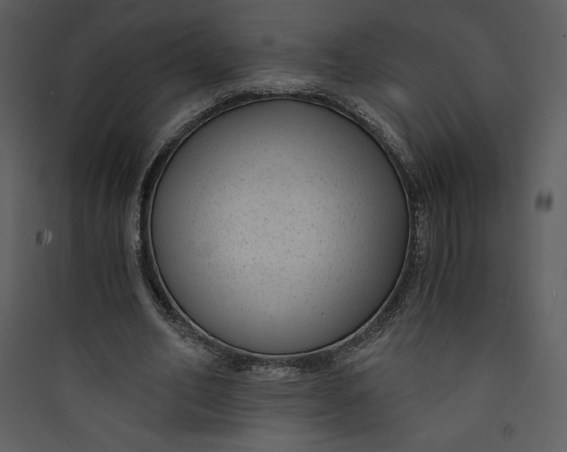 X0000089750582200707121343