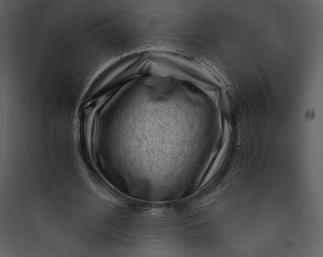 X0000089750584200707121343