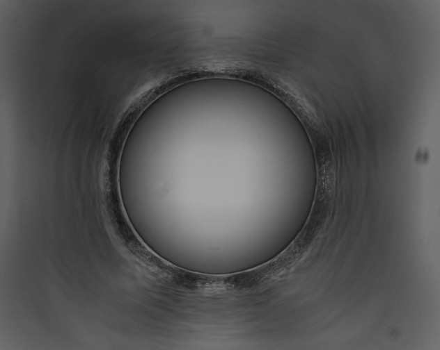 X0000089750587200707121343