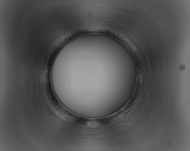 X0000089750591200707121343