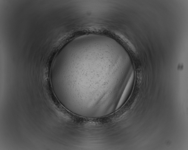 X0000089750593200707121343