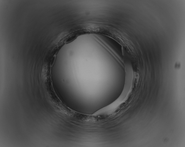 X0000089750600200707121343