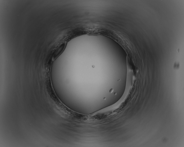 X0000089750601200707121343