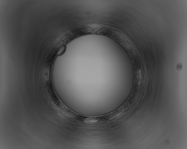 X0000089750602200707121343