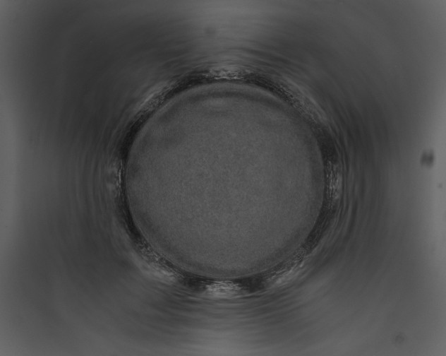 X0000089750603200707121343