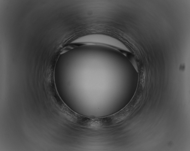 X0000089750604200707121343