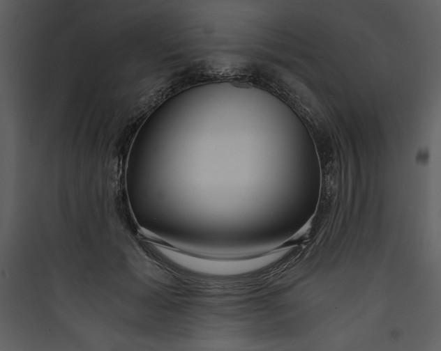 X0000089750605200707121343