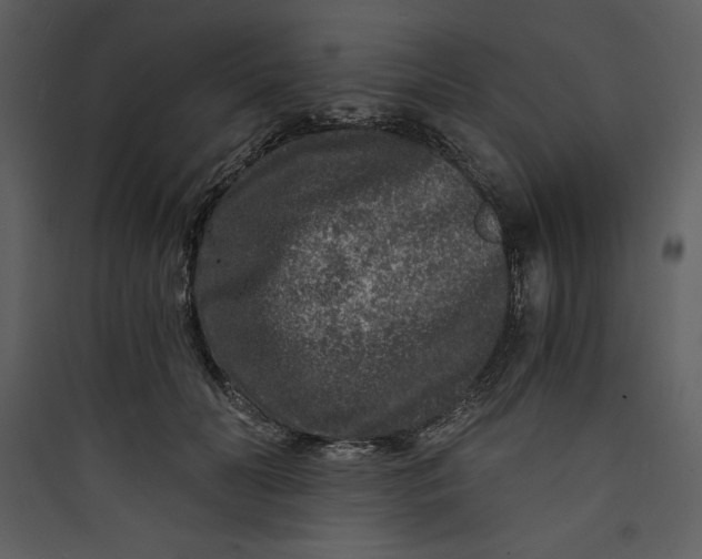 X0000089750606200707121343