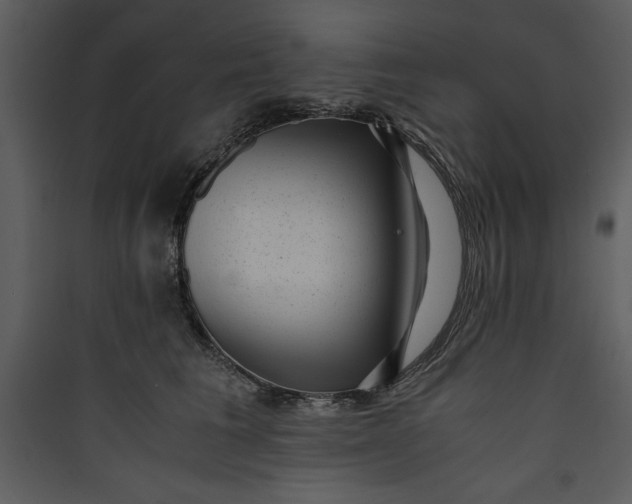 X0000089750613200707121343