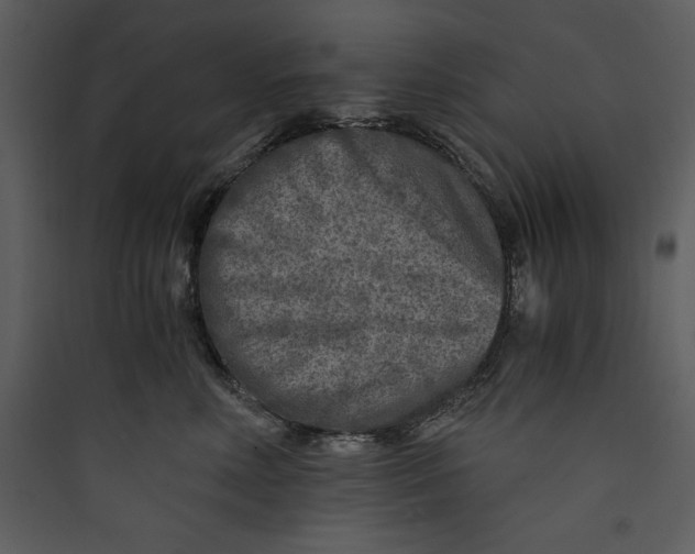 X0000089750618200707121343