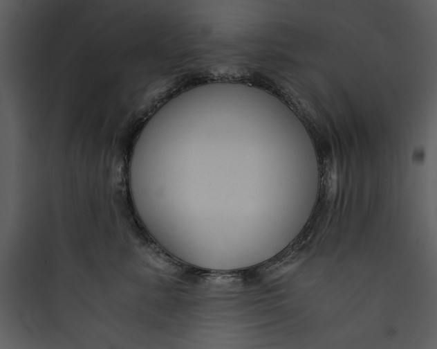 X0000089750619200707121343