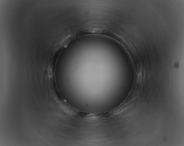 X0000089750620200707121343