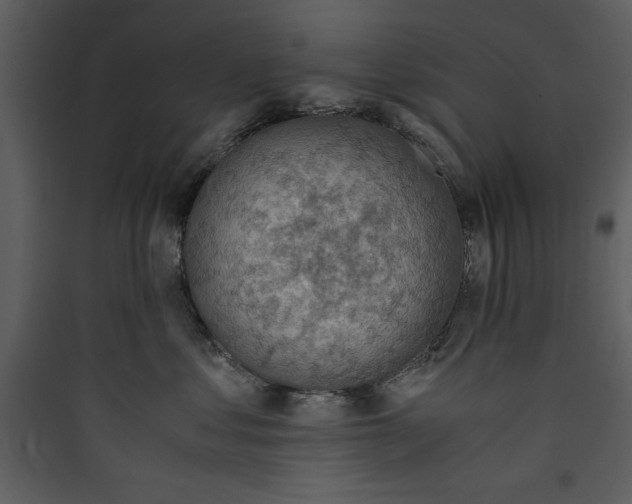 X0000089750621200707121343