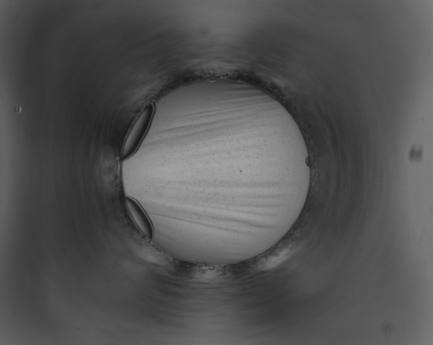 X0000089750624200707121343