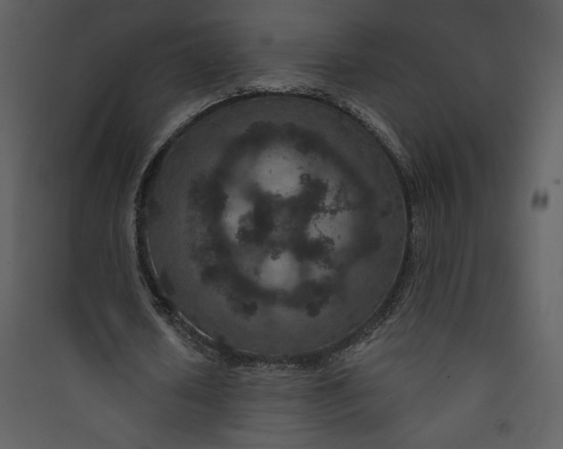 X0000089750626200707121342