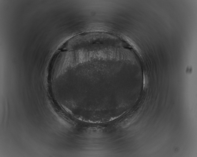 X0000089750627200707121342