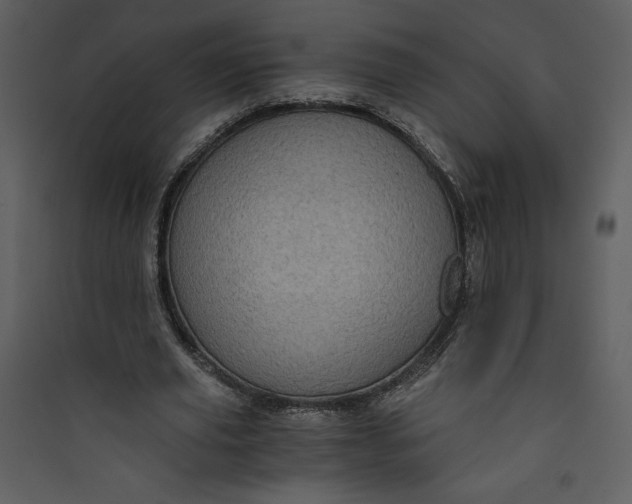 X0000089750629200707121342