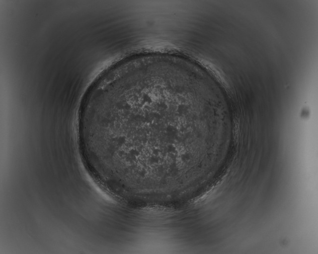 X0000089750630200707121342