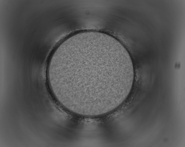 X0000089750632200707121342