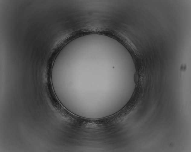 X0000089750635200707121342